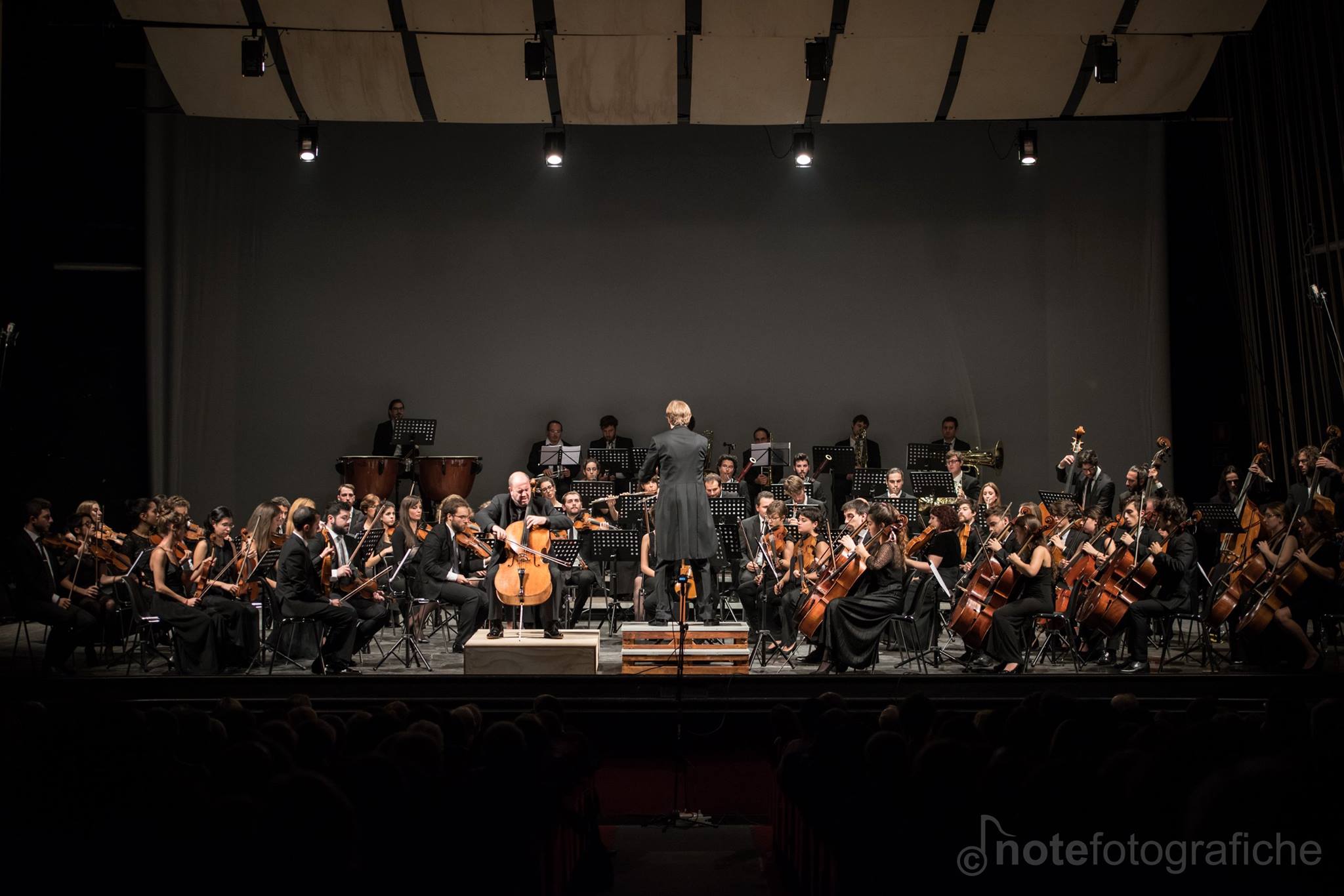 Enrico Dindo Orchestra Senzaspine