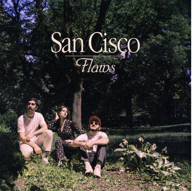 san cisco flaws