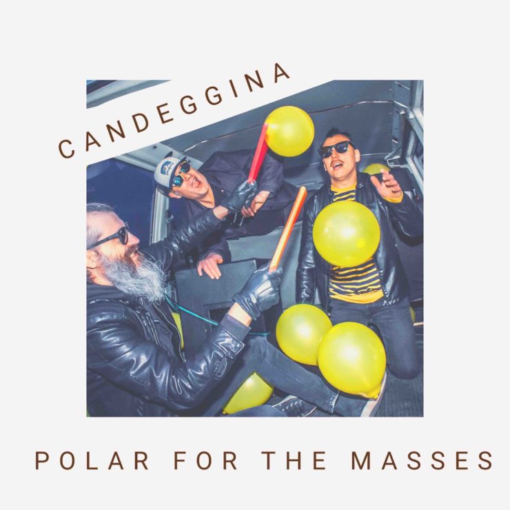 polar for the masses candeggina