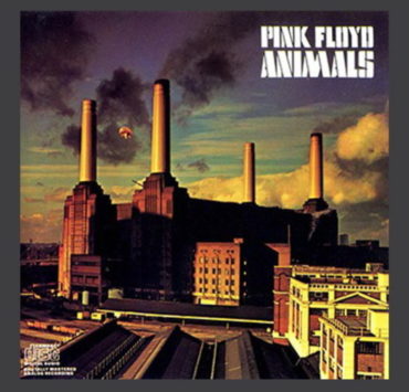 pink floyd animals