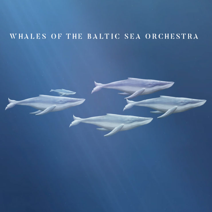 rossometile whales of the baltic sea orchestra
