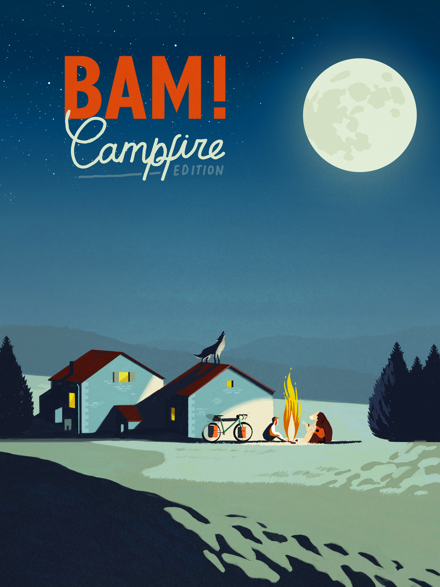 BAM campfire0