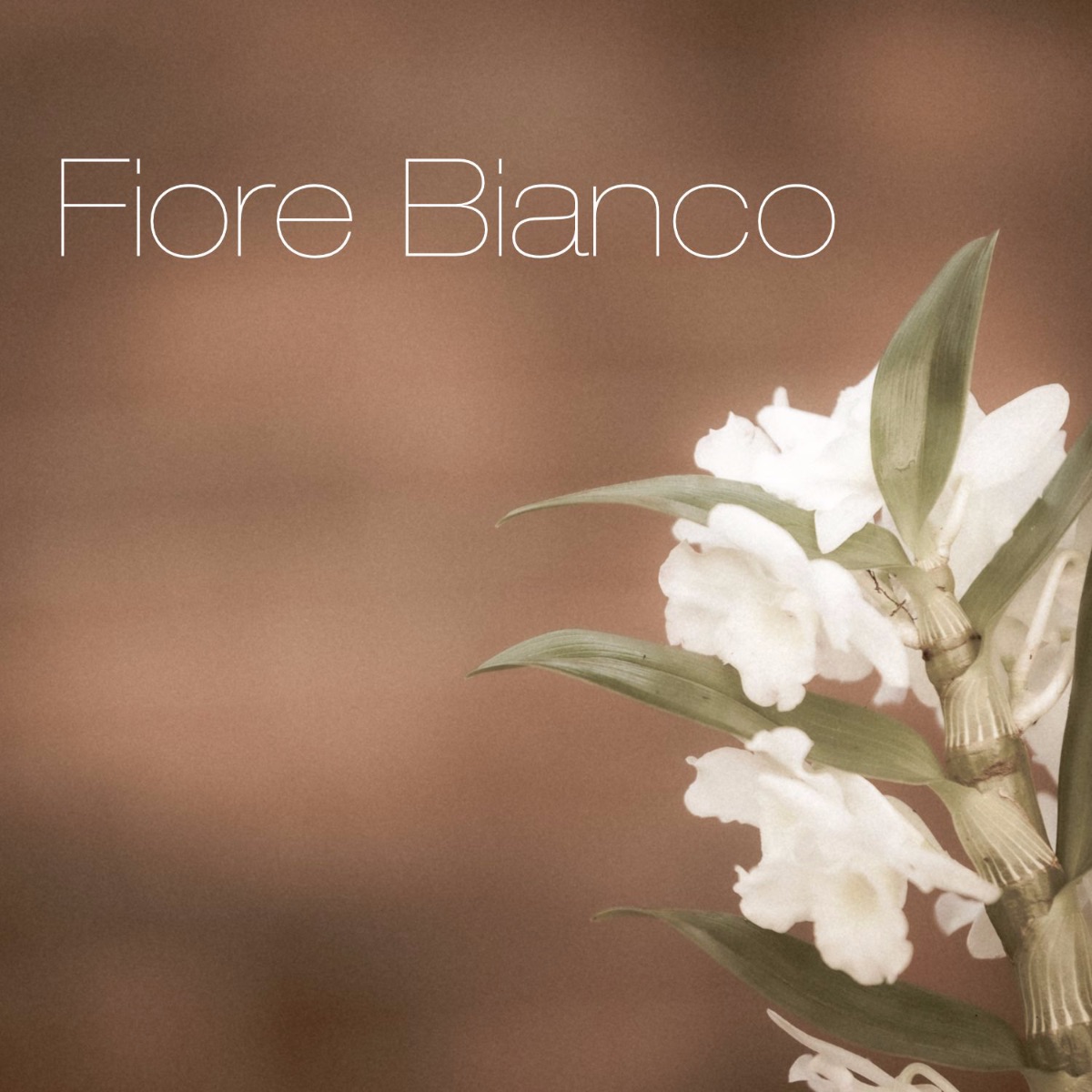 lu and me fiore bianco cover